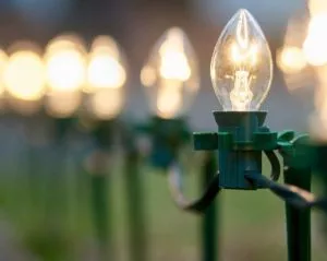 Christmas lightbulb for Christmas lights installation