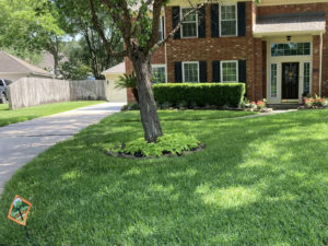 Sprinkler system efficiently watering a well-maintained lawn in Houston, TX