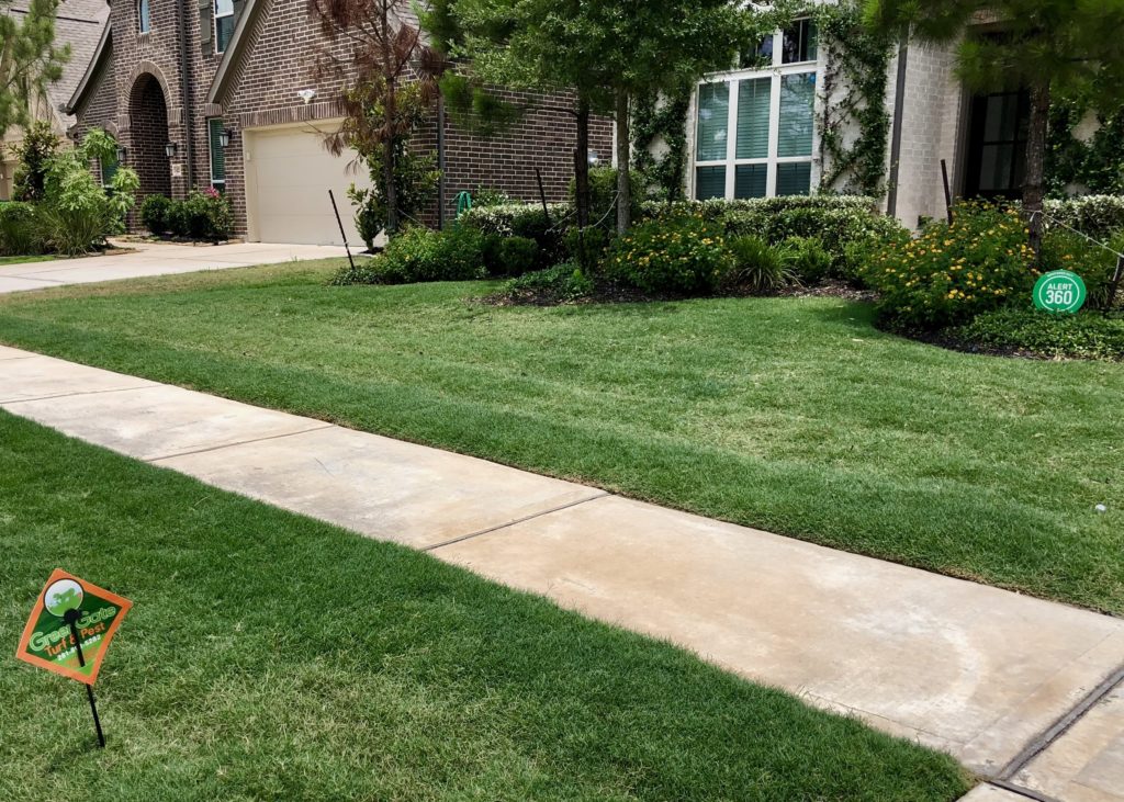 Lawn Aeration Results