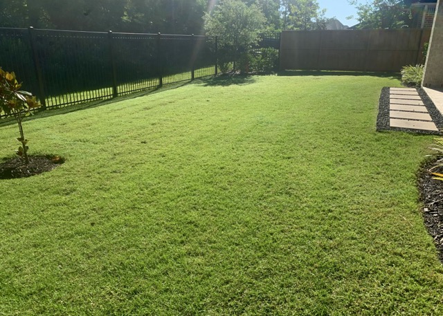 Lawn Care Bundle The Woodlands