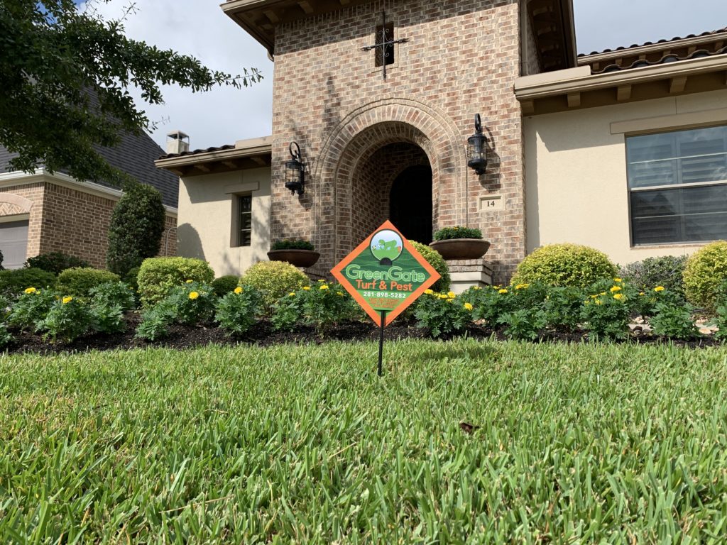 Cypress Lawn Care Results