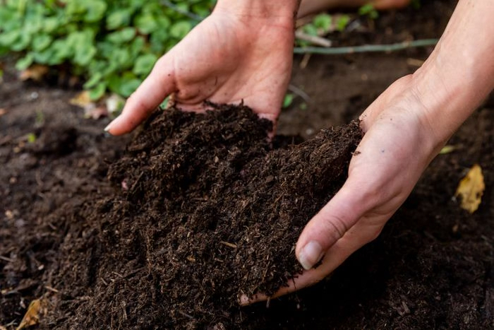 A person holds soil in their hands, symbolizing soil testing in Houston, TX.