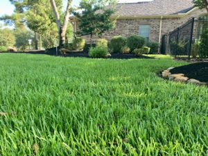 lawn care tomball
