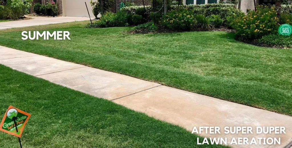 after lawn aeration