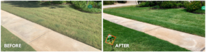 Before and after lawn aeration