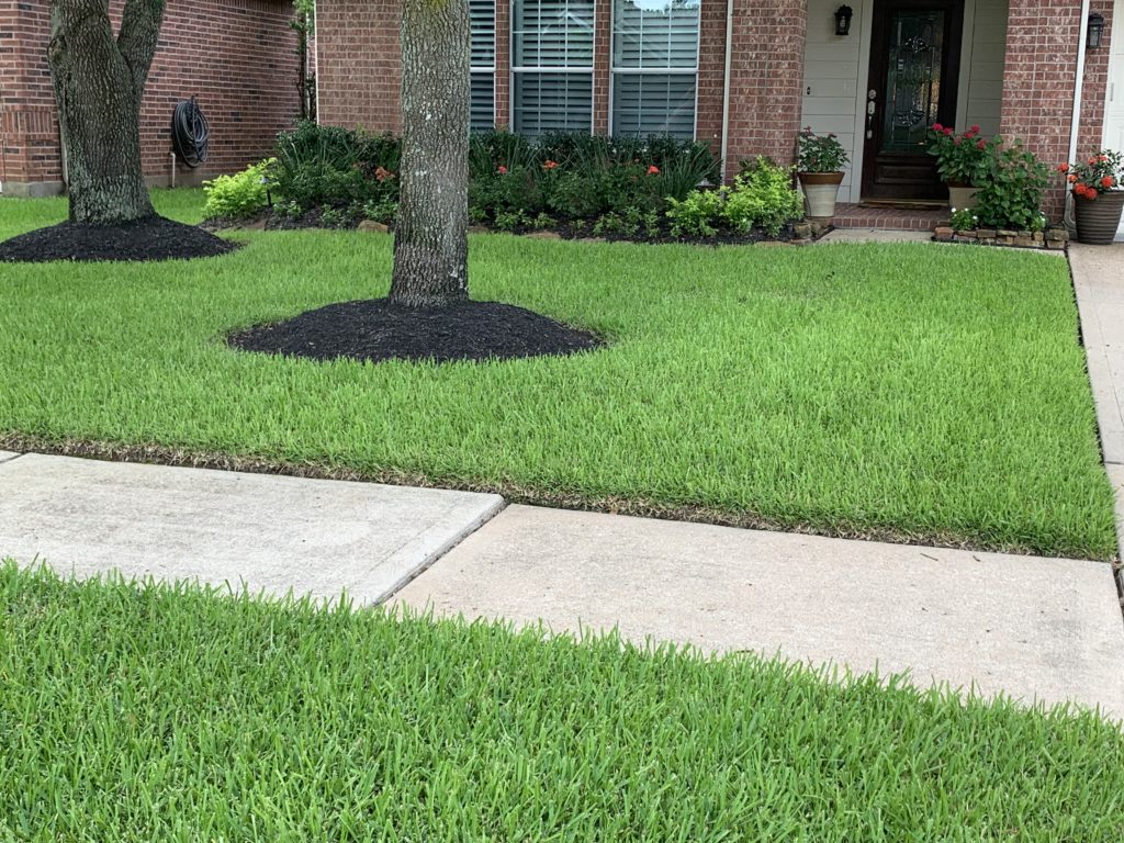 lawn aeration