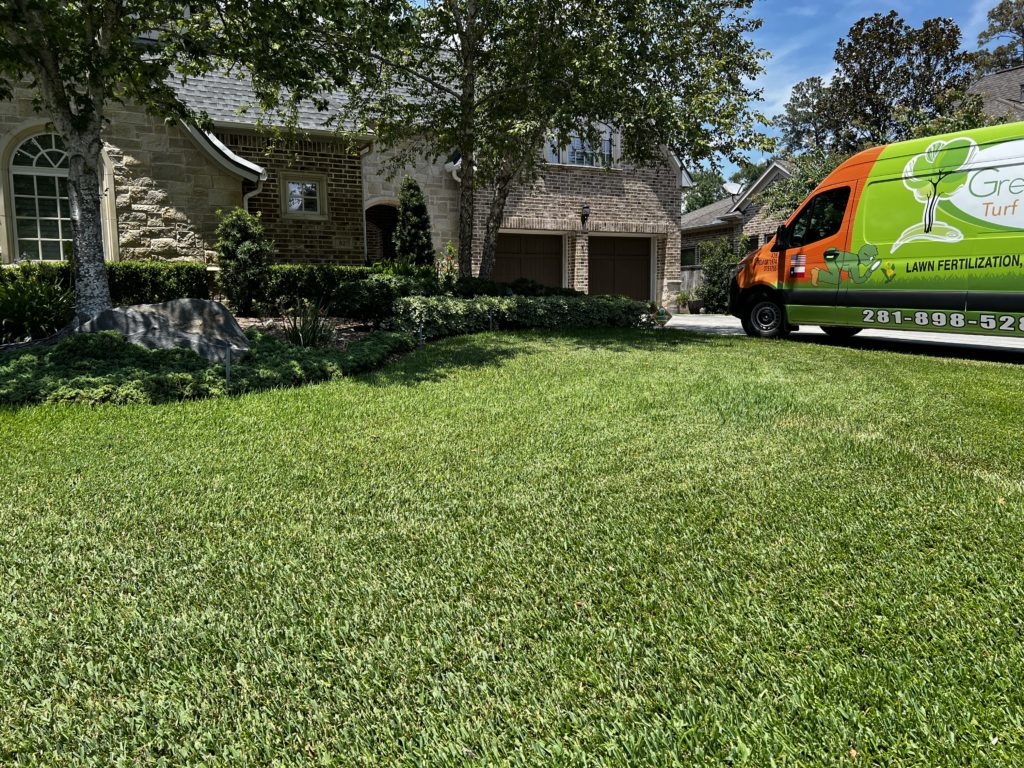 lawn aeration