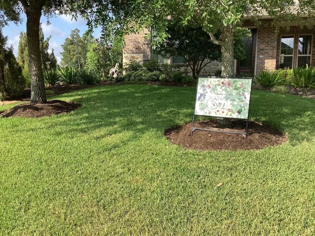 Lawn Aeration Results Spring TX