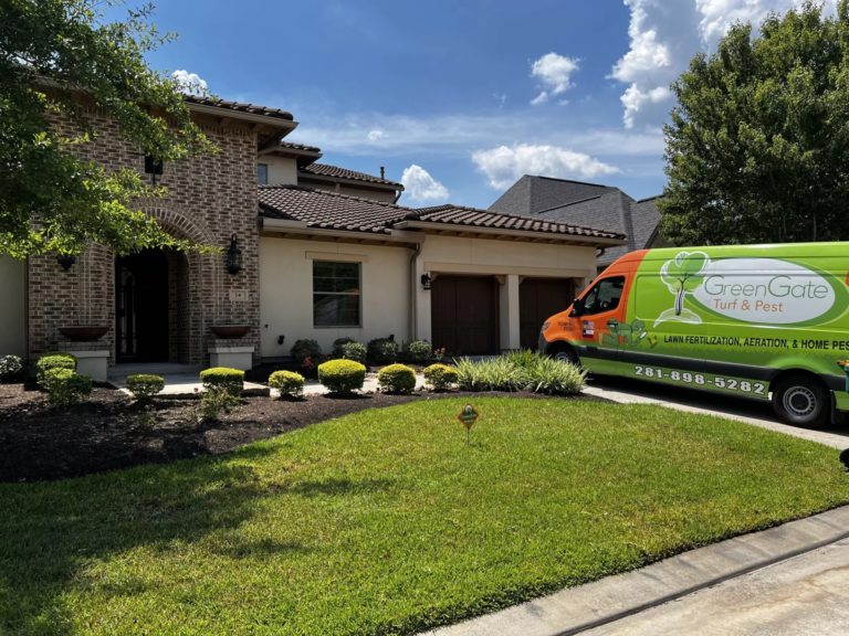 Super Lawn Aeration Results Tomball, TX lawn aeration service