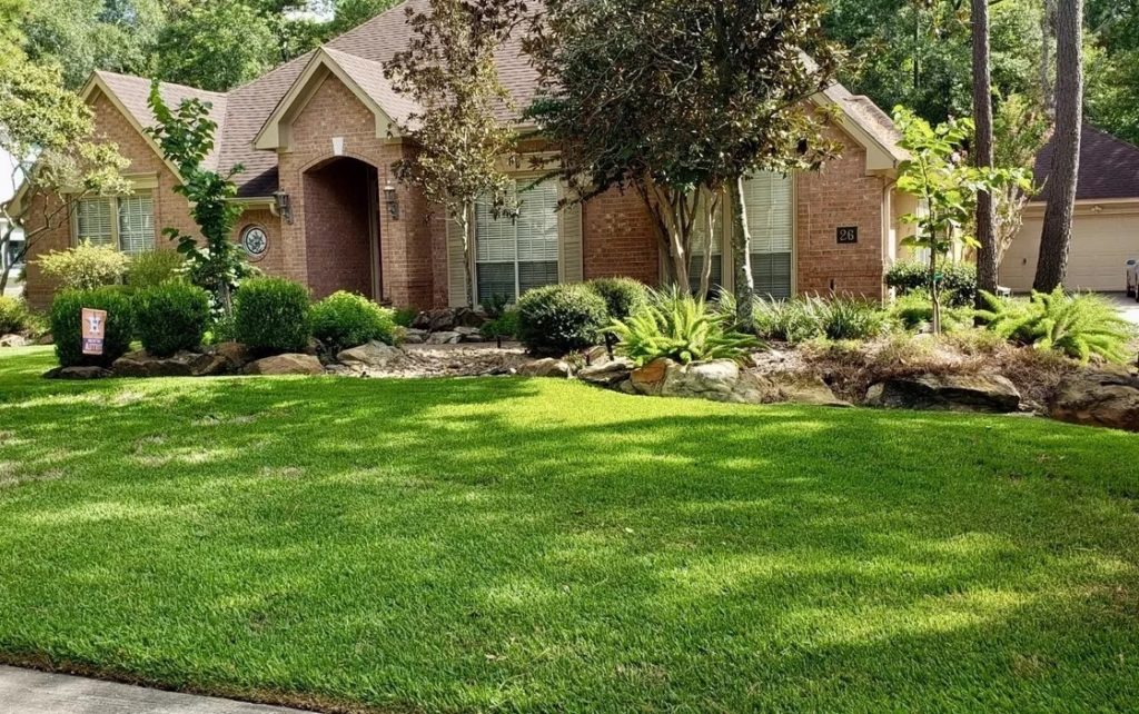 Basic Lawn Aeration Memorial, TX