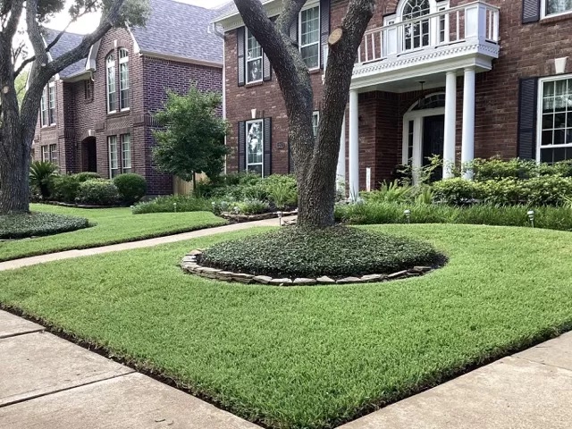 Super Duper Lawn Aeration Memorial City TX