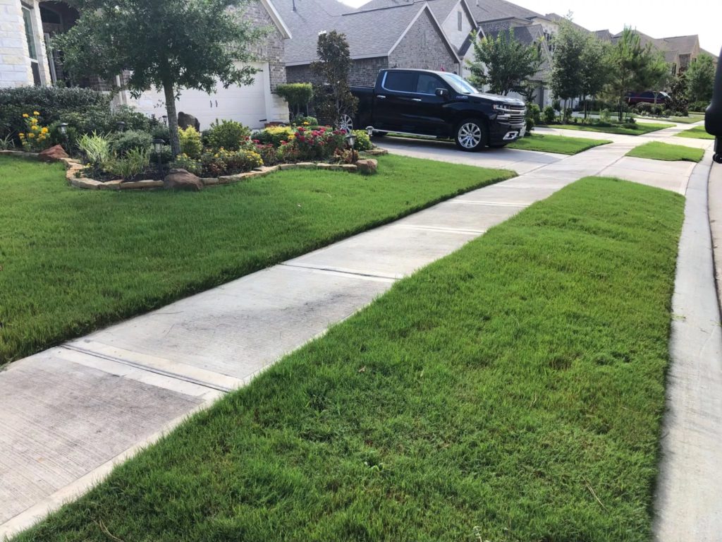 Super Liquid Lawn Aeration Stafford, TX