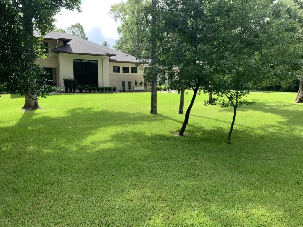 View of a large front lawn with a house towards the back of the property