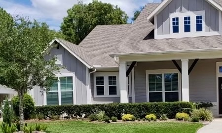 Rosenberg BedBug Treatment