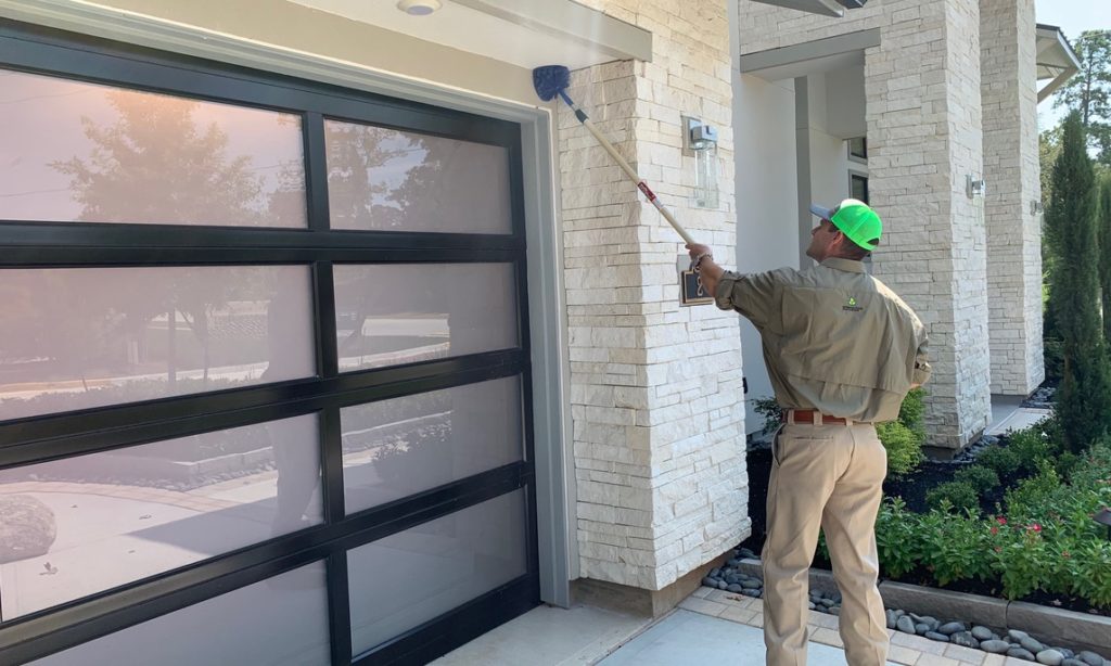 Pest Control service Bellaire