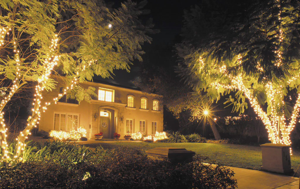 House with Christmas lights in trees.