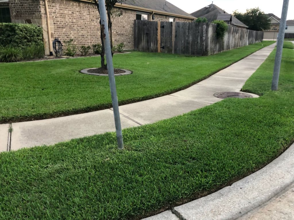 sidewalk and grass