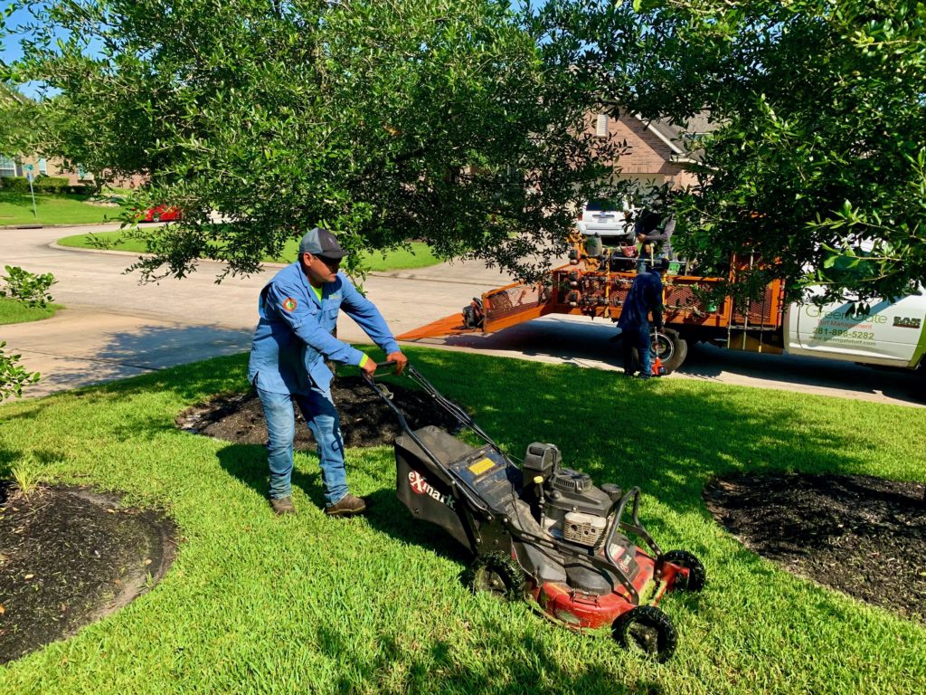 Lawn Mowing service completed West University Place, TX