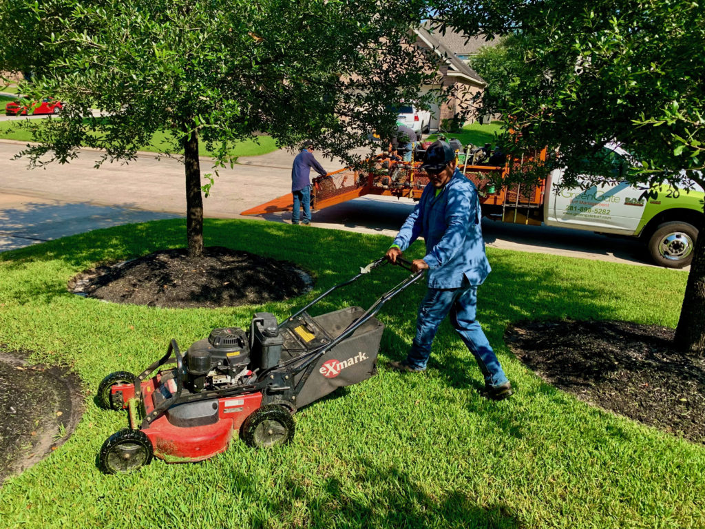 The Woodlands, TX Lawn Mowing
