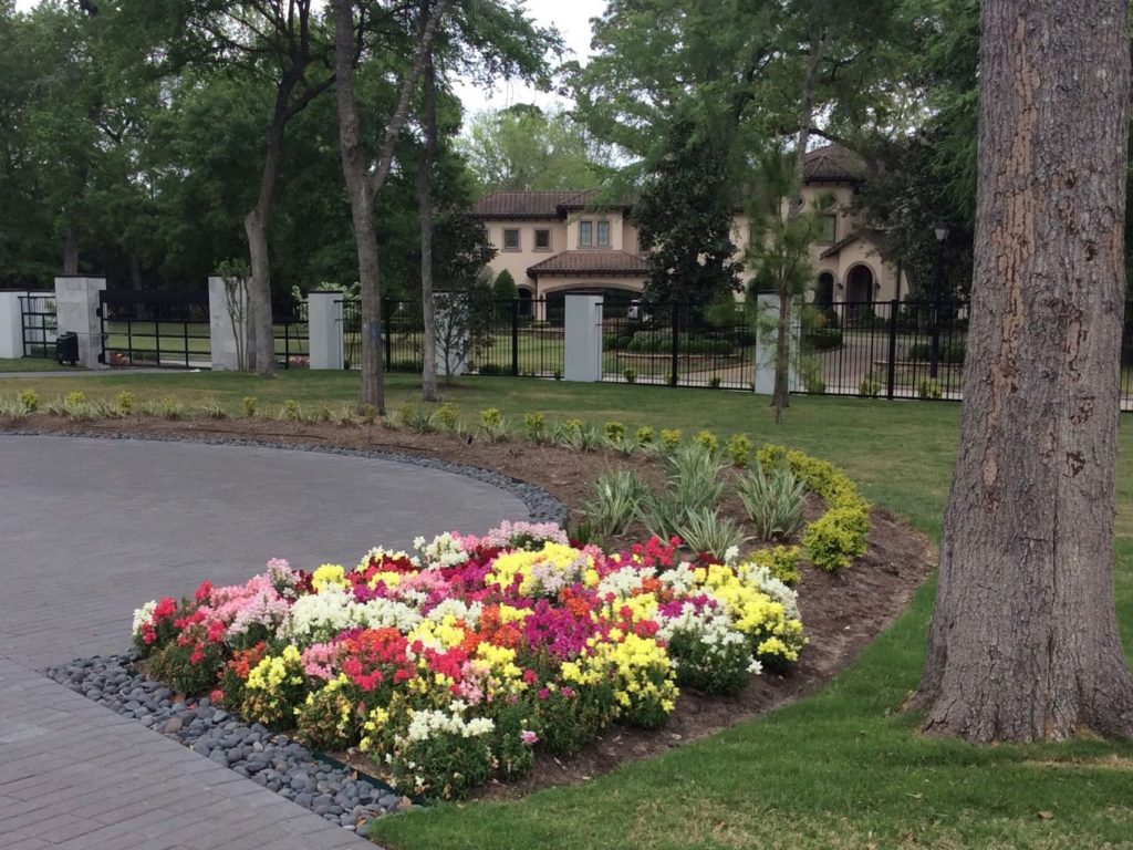 Photo of lawn after completed mosquito yard treatment in Cypress, TX
