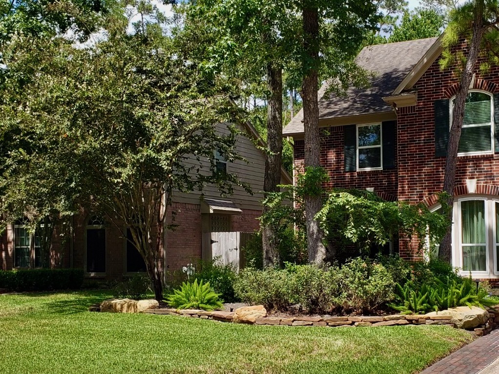 Yard after mosquito treatment applied by greengate turf & pest