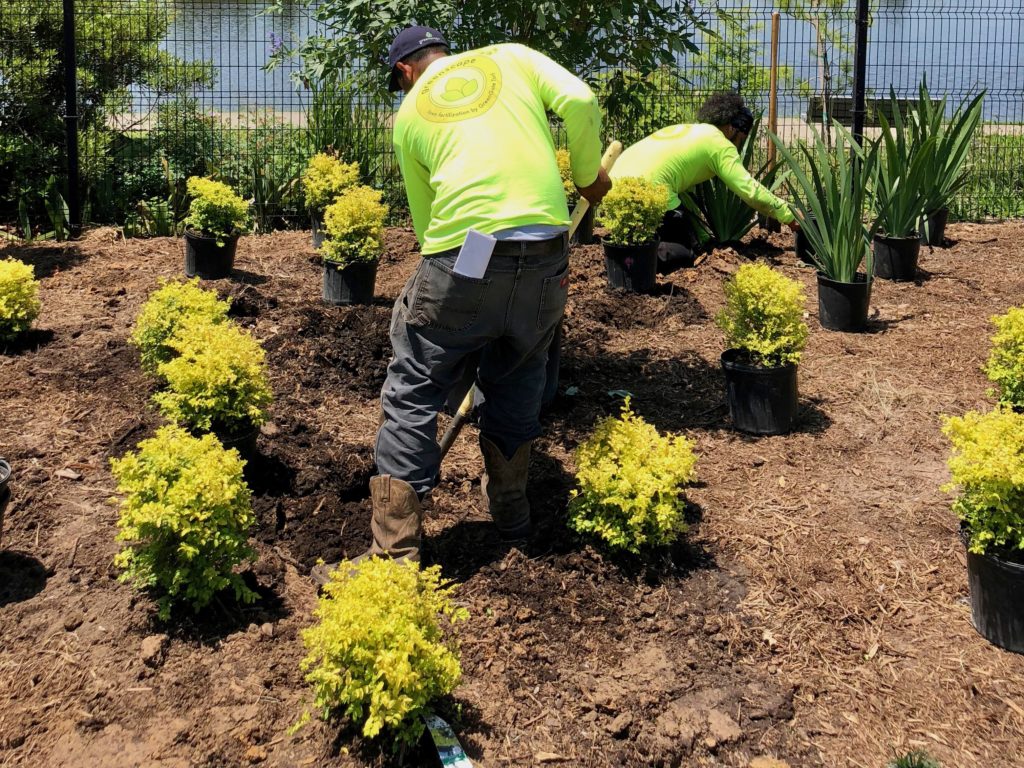 Completed Landscaping Service