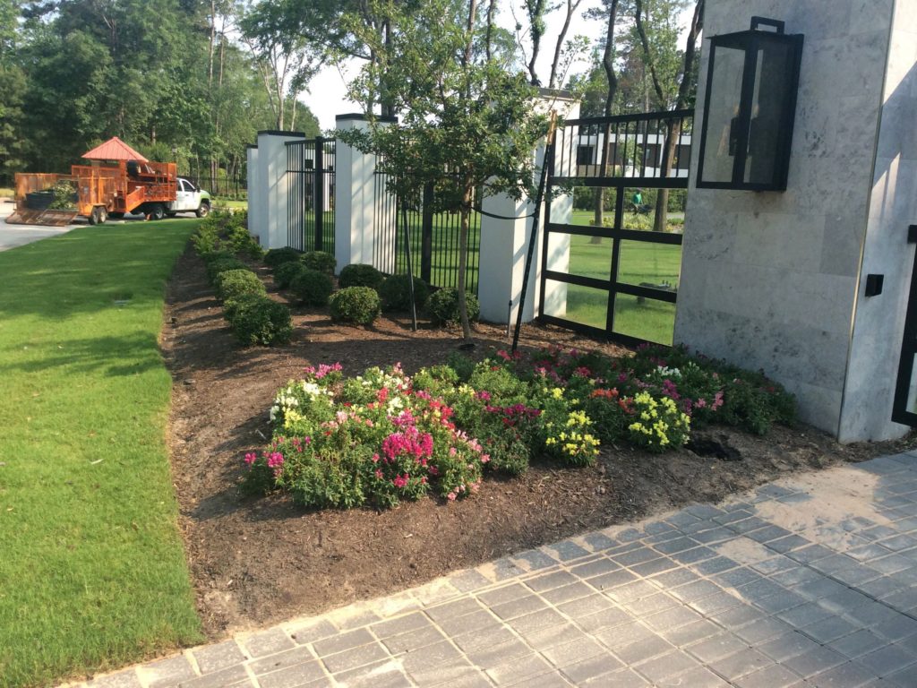 Completed Landscaping Service