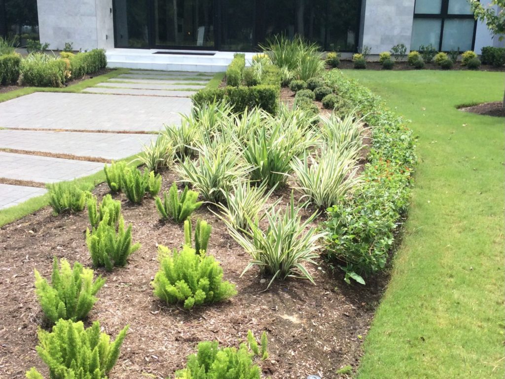 Completed Landscaping Service