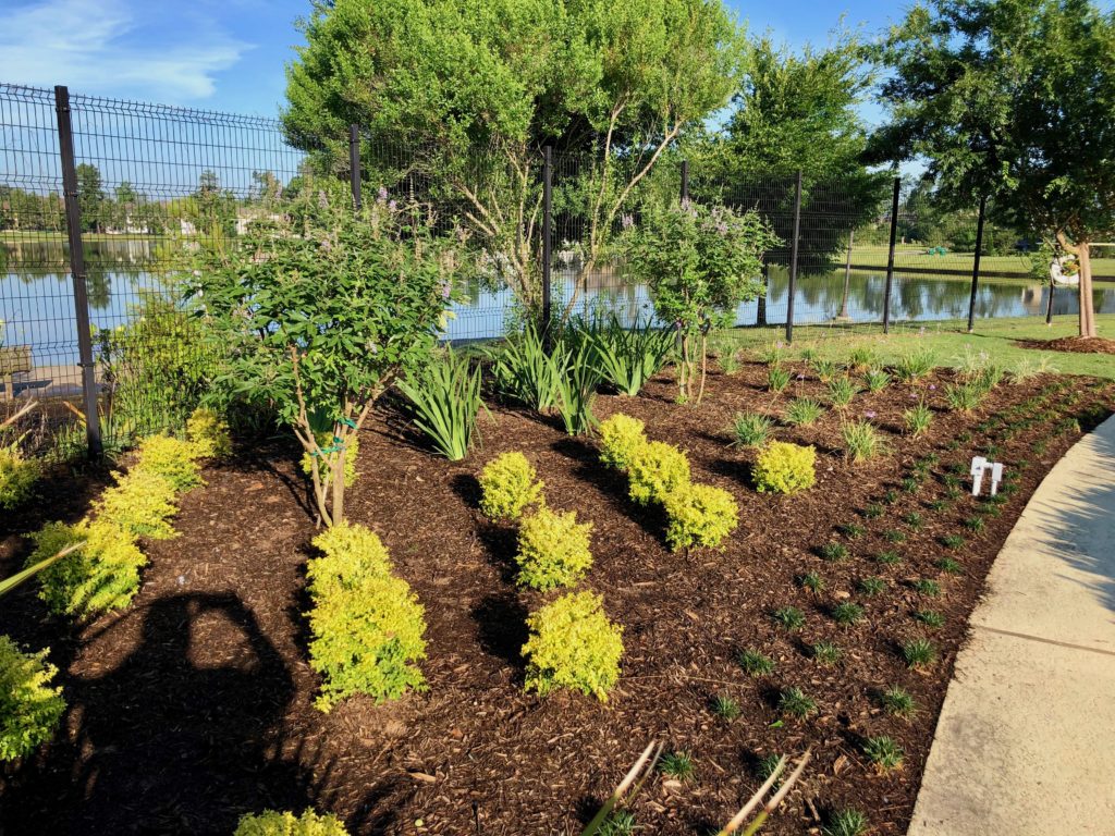 Completed Landscaping Service