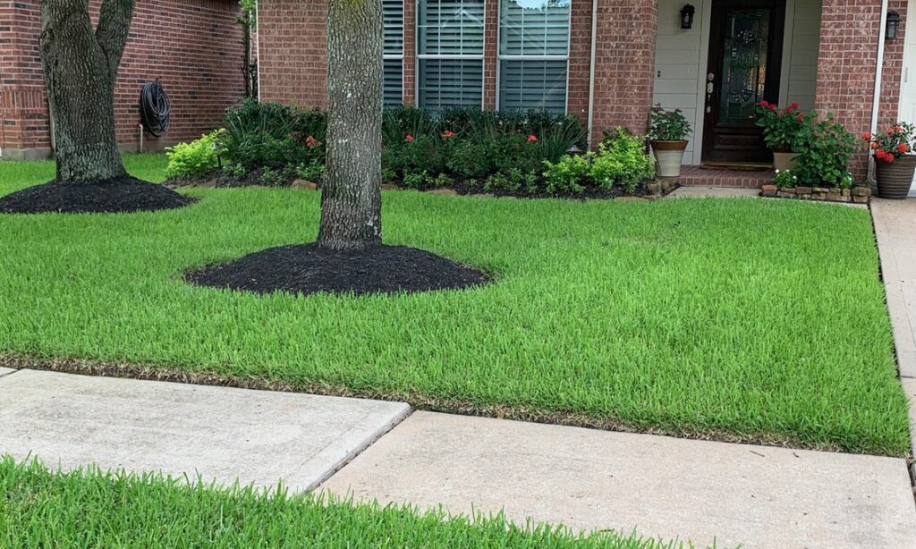 Lawn Pest Control Houston