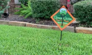 Lawn Pest Control lawn treatments Katy