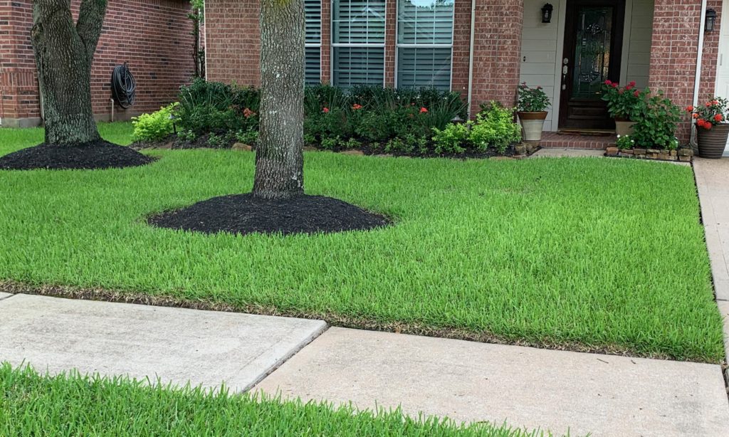 tomball lawn pest control, insecticde