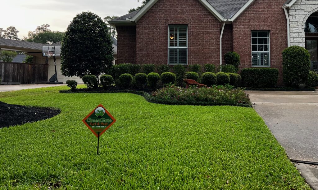 Sugar Land Lawn Pest Control