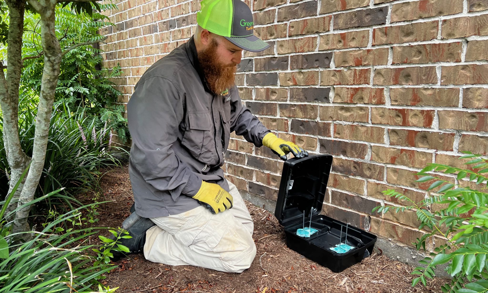 How Do Mouse Bait Stations Work? A Guide for Homeowner’s