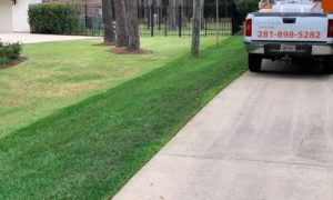 Lawn pigmentation service by GreenGate