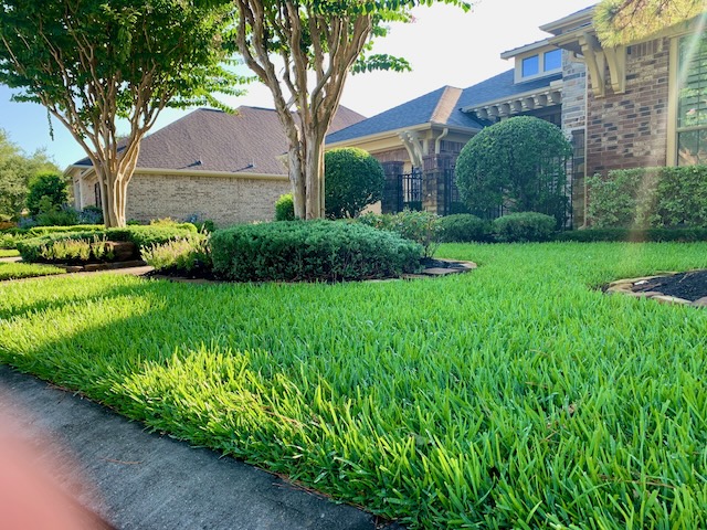 Houston Lawn Care