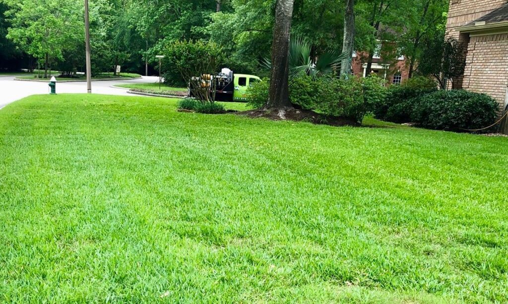 Completed Sod Webworm Treatment