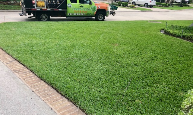 Sod webworm application in Cypress, TX