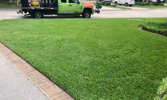 Sod webworm application in Cypress, TX