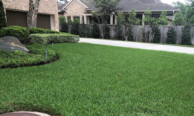 Katy Sod Webworm Treatment