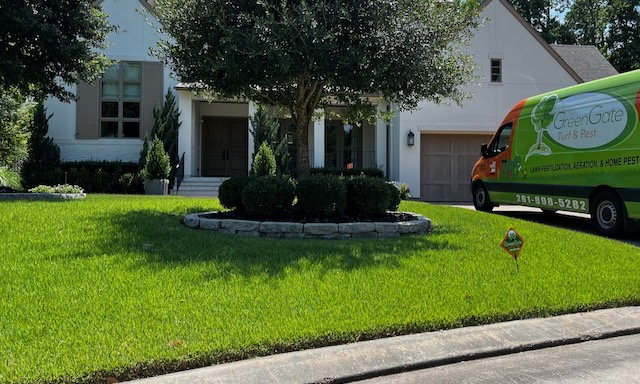 Sod Webworm Treatment