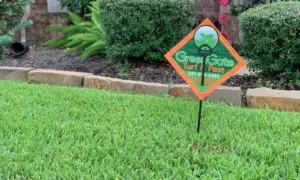 Tomball lawn, Tomball, TX Sod Webworm Treatment completed by greengate turf & pest