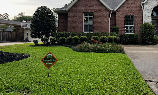 Katy Sod Webworm Treatment