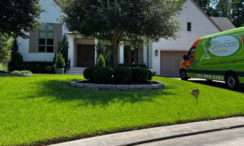 Completed Sod Webworm Treatment