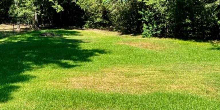 An Aerial View of Lawn Area Highlighting Lawn Aeration Service in Houston, TX