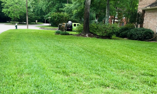 West U Sod Webworm Treatment