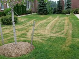 Optimal Lawn Watering