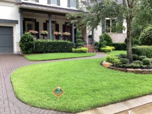 Lush lawn with well-maintained landscaping and shrubs in Houston, TX
