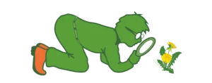 Man inspecting the soil and flower lawn inspection
