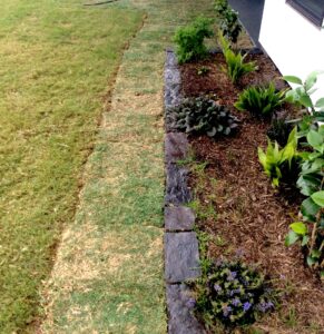 co-parenting your lawn sod installation